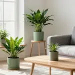16 ZZ Plant Decor Ideas With Modern Green Vibes