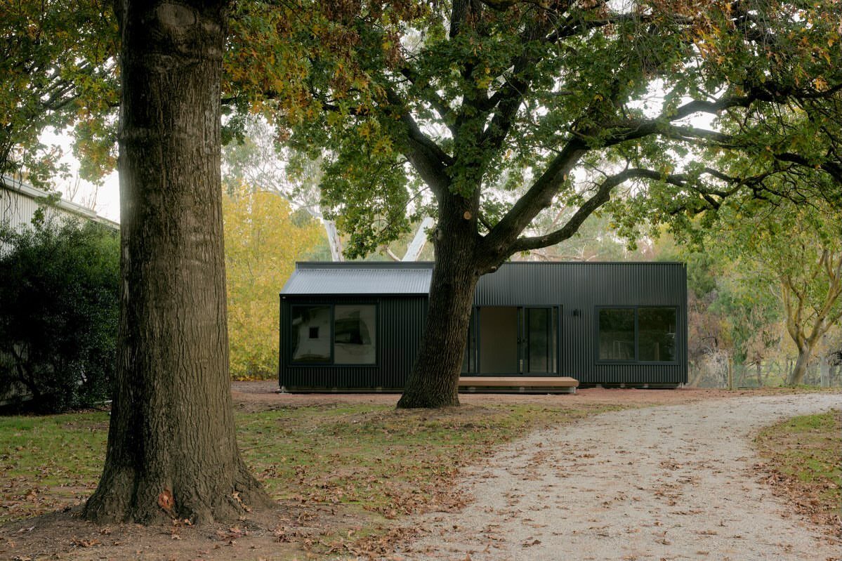 A modern black tiny shed house with large windows situated under large green trees.
